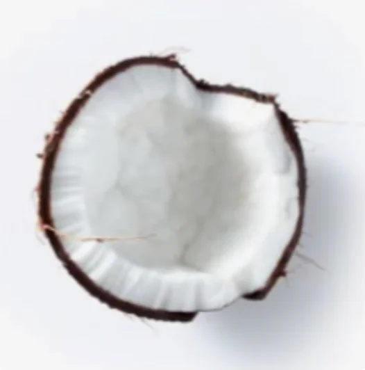 Online Business Coaching