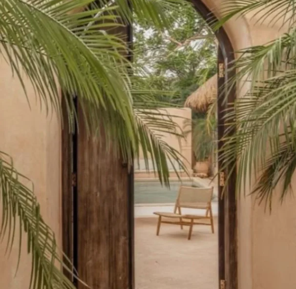 Online Business Coaching